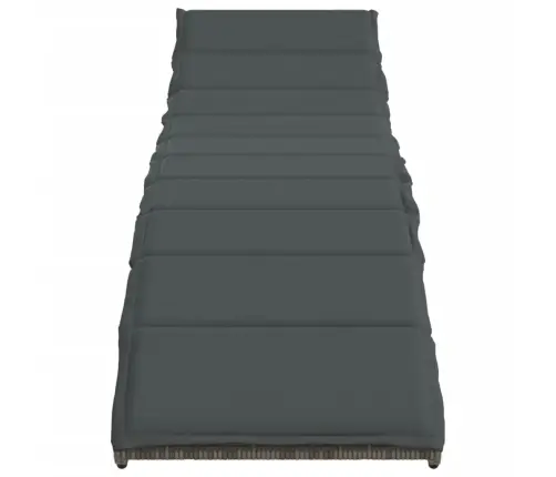 Sauļošanās Zviļņi, 2 Gab., Ar Matračiem, Pelēks Pe Rotangpalma Vidaxl Sauļošanās Zviļņi, 2 Gab., Ar Matračiem, Pelēks Pe Rotangpalma Vidaxl