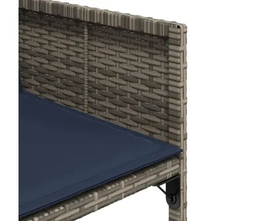 Sodo Kėdės Su Pagalvėlėmis, 4Vnt., Pilkos Spalvos, Poliratanas