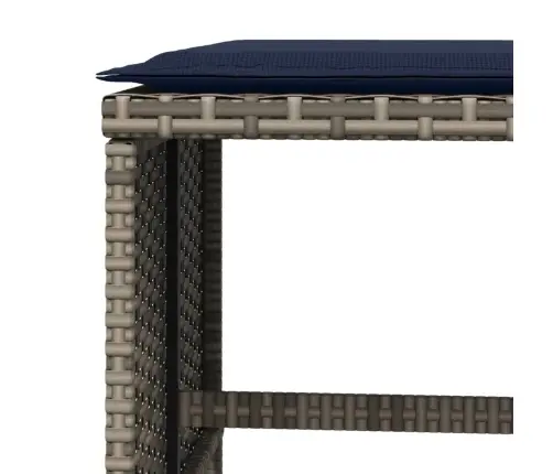 Dārza Soli Ar Matračiem, 4 Gab., Pelēki, 40X40X35 Cm, Pe Pinums Vidaxl