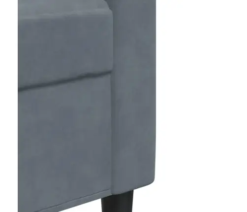 Divvietīgs Dīvāns, Tumši Pelēks, 120 Cm, Samts Vidaxl
