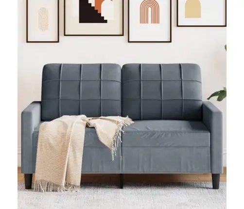 Divvietīgs Dīvāns, Tumši Pelēks, 120 Cm, Samts Vidaxl