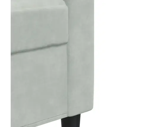 Trīsvietīgs Dīvāns, Gaiši Pelēks, 210 Cm, Samts Vidaxl