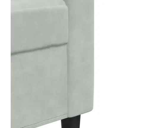 Sofos Komplektas Su Pagalvėlėmis, 4 Dalių, Pilkas, Aksomas