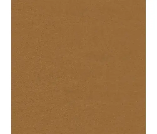 2-Osaline Diivanikomplekt Patjadega, Pruun, Samet