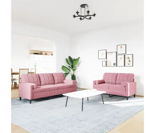 2-Osaline Diivanikomplekt Patjadega, Roosa, Samet