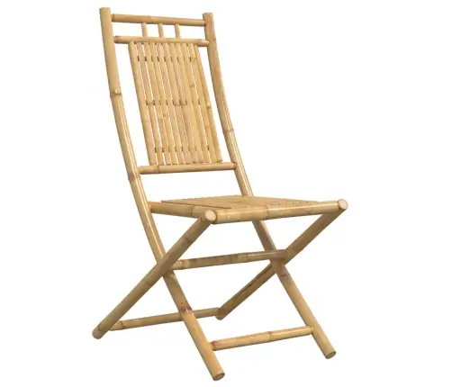 Sulankstomos Sodo Kėdės, 4Vnt., 46X66X99cm Bambukas