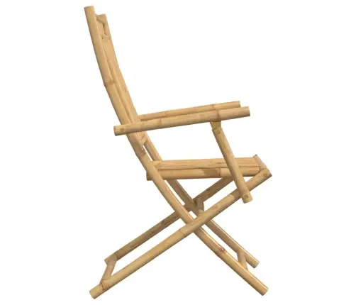 Kokkupandavad Aiatoolid 6 Tk, 53X66X99 cm Bambus