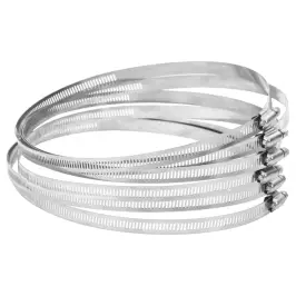 Žarnų Spaustukai, 6Vnt., 91-220Mm, 304 Nerūdijantis Plienas