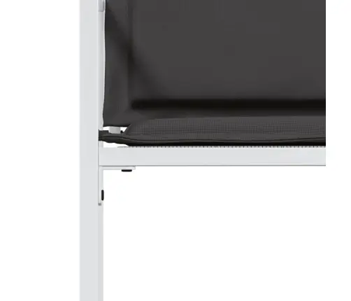 Sodo Kėdės Su Pagalvėlėmis, 4Vnt., Baltos, Plienas/Tekstilenas