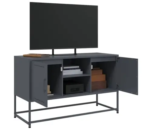 Televizoriaus Spintelė, Antracito, 100,5X39X60,5cm Plienas