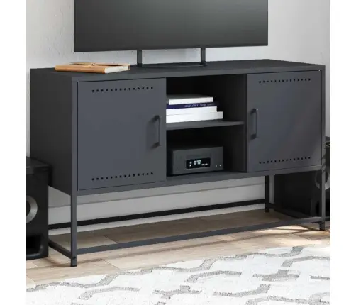 Televizoriaus Spintelė, Antracito, 100,5X39X60,5cm Plienas