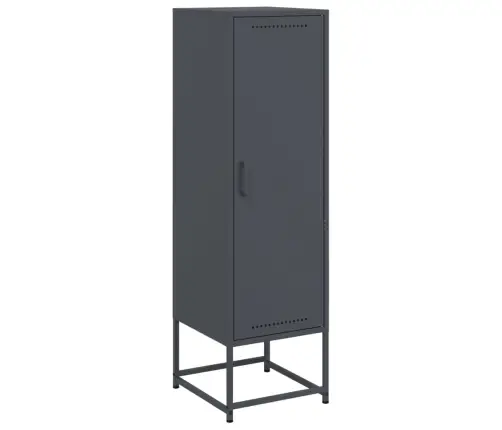 Augstais Skapītis, Antracītpelēks, 36X39X123 Cm, Tērauds Vidaxl