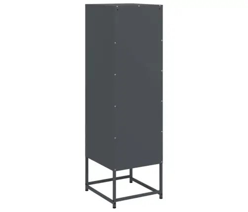 Augstais Skapītis, Antracītpelēks, 36X39X123 Cm, Tērauds Vidaxl