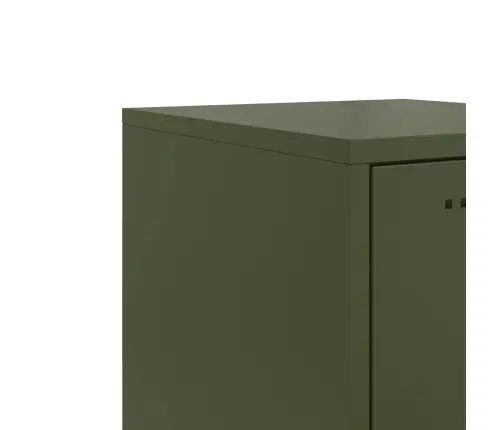 Augstais Skapītis, Olīvu Zaļš, 36X39X123 Cm, Tērauds Vidaxl