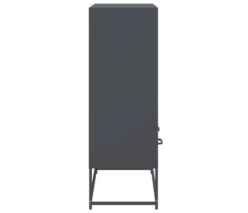 Kõrge Kapp, Antratsiithall, 68X39X111,5 cm Teras