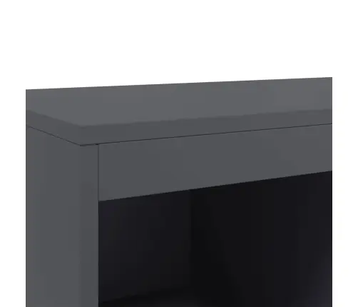 Kõrge Kapp, Antratsiithall, 68X39X111,5 cm Teras