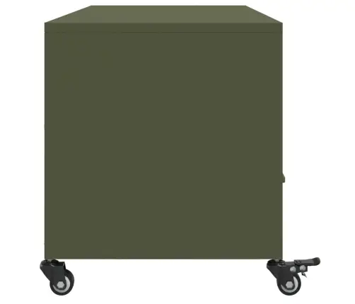 Televizoriaus Spintelė, Alyvuogių, 100,5X39X43,5cm Plienas