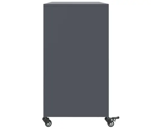 Šoninė Spintelė, Antracito, 100,5X39X72cm Plienas