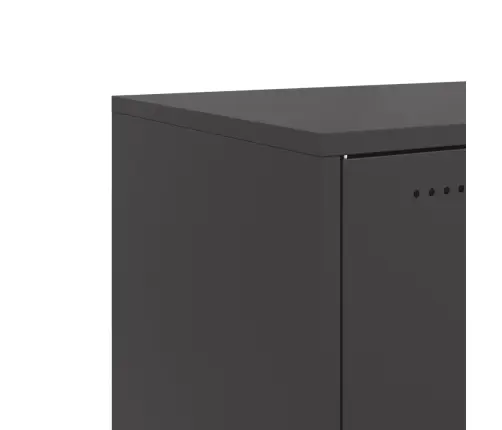 Šoninė Spintelė, Juoda, 100,5X39X72cm Šaltai Valcuotas Plienas