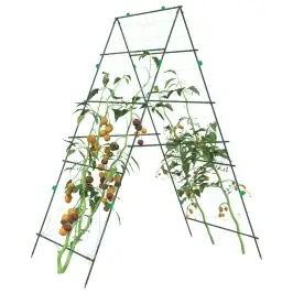 Dārza Režģis Vīteņaugiem, A-Rāmis, 99X90X175,5 Cm, Tērauds Vidaxl