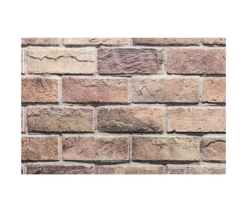 3D Sienas Paneļi, 10 Gab., Brūni, 100X50 Cm, Eps Vidaxl