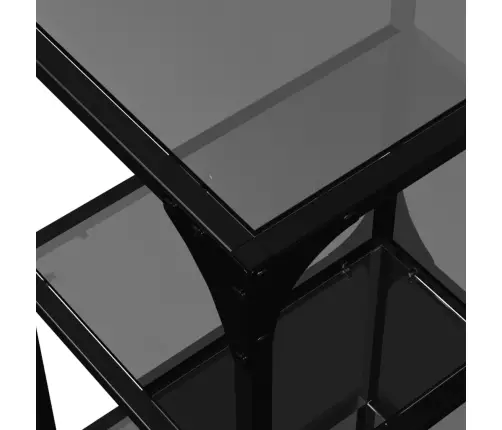 Lentyna Daiktams Su Stiklinėmis Lentynomis, 40X30X95cm Plienas