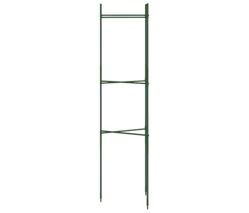 Tomātu Būri, 6 Gab., 116 Cm, Tērauds Un Pp Vidaxl