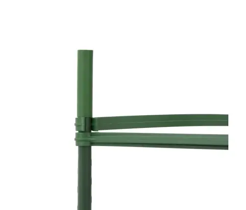 Tomātu Būri, 6 Gab., 116 Cm, Tērauds Un Pp Vidaxl