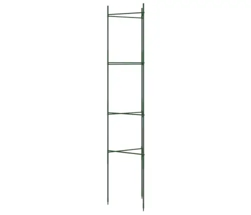 Tomātu Būri, 6 Gab., 154 Cm, Tērauds Un Pp Vidaxl