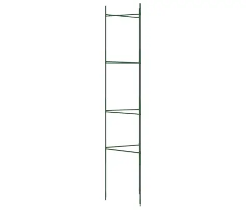 Tomātu Būri, 6 Gab., 154 Cm, Tērauds Un Pp Vidaxl