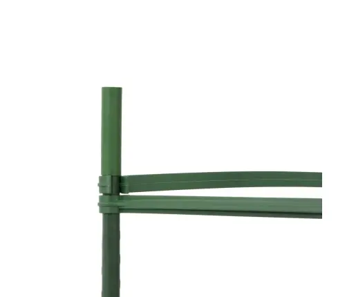 Tomātu Būri, 6 Gab., 154 Cm, Tērauds Un Pp Vidaxl