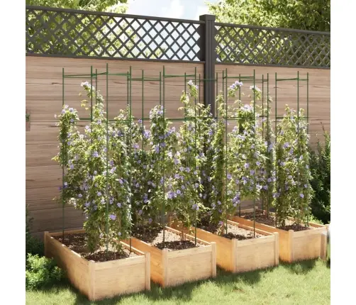 Tomātu Būri, 8 Gab., 154 Cm, Tērauds Un Pp Vidaxl