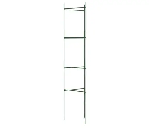 Tomātu Būri, 8 Gab., 154 Cm, Tērauds Un Pp Vidaxl