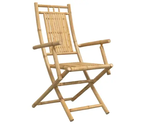 Saliekamie Dārza Krēsli, 2 Gab., 53X66X99 Cm, Bambuss Vidaxl