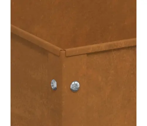 Sodo Lovelis, 100,5X40,5X90cm Plienas