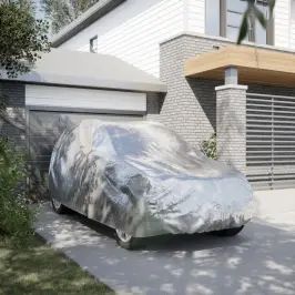 Autokate Maasturile Pandlarihmadega Hõbedane L