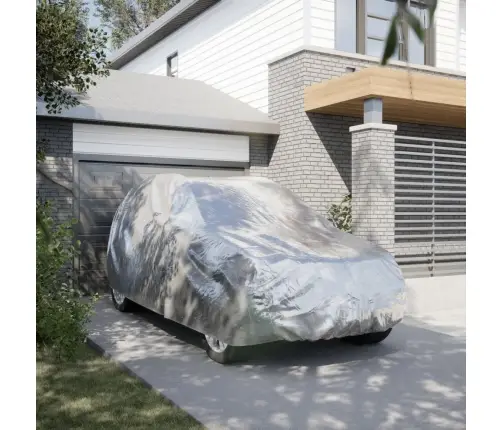 Autokate Maasturile Pandlarihmadega Hõbedane L