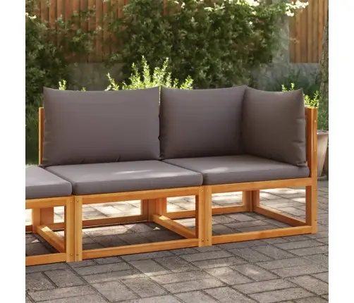 Dārza Dīvāns Ar Spilveniem, Divvietīgs, Akācijas Koks Un Virve Vidaxl