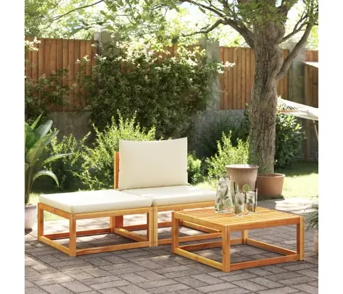 3-Osaline Aiadiivanikomplekt Patjadega, Puit, Akaatsia Ja Köis