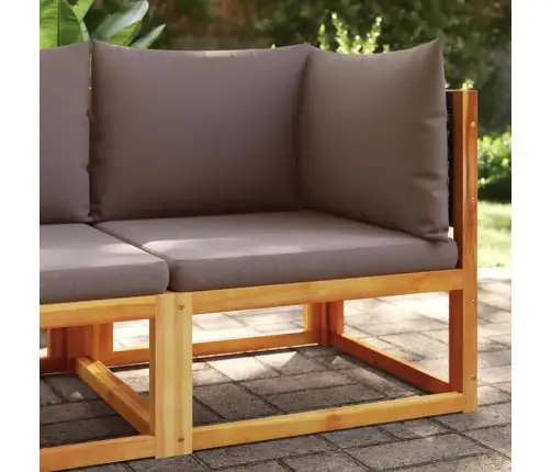 Aianurgadiivan Patjadega, Puit, Akaatsia Ja Rotang