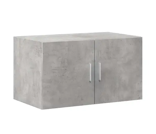 Hoiukapp, Betoonhall, 70 X 42,5 X 225 cm Tehispuit