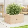 Aia Taimekast, 40X40X23 cm Männipuit