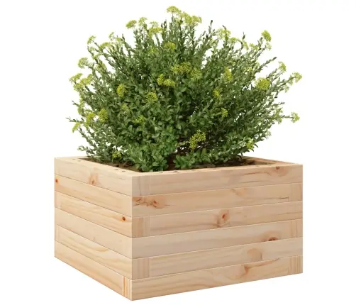 Aia Taimekast, 40X40X23 cm Männipuit