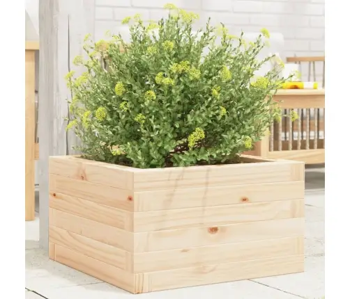 Aia Taimekast, 40X40X23 cm Männipuit
