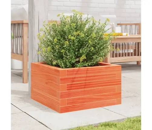 Dārza Puķu Kaste, Vaska Brūnas, 40X40X23 Cm Priedes Masīvkoks Vidaxl