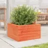Dārza Puķu Kaste, Vaska Brūnas, 40X40X23 Cm Priedes Masīvkoks Vidaxl