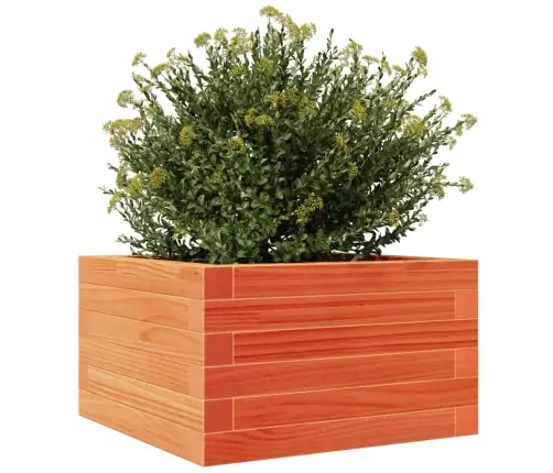 Dārza Puķu Kaste, Vaska Brūnas, 40X40X23 Cm Priedes Masīvkoks Vidaxl