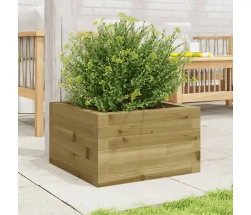 Aia Taimekast, 40X40X23 cm Immutatud Männipuit