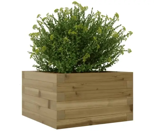 Aia Taimekast, 40X40X23 cm Immutatud Männipuit