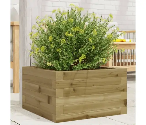 Aia Taimekast, 40X40X23 cm Immutatud Männipuit